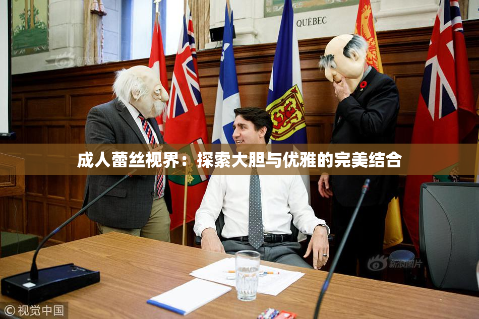 成人蕾丝视界：探索大胆与优雅的完美结合
