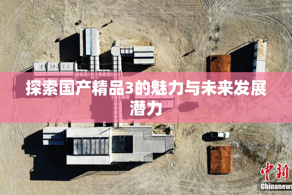 探索国产精品3的魅力与未来发展潜力