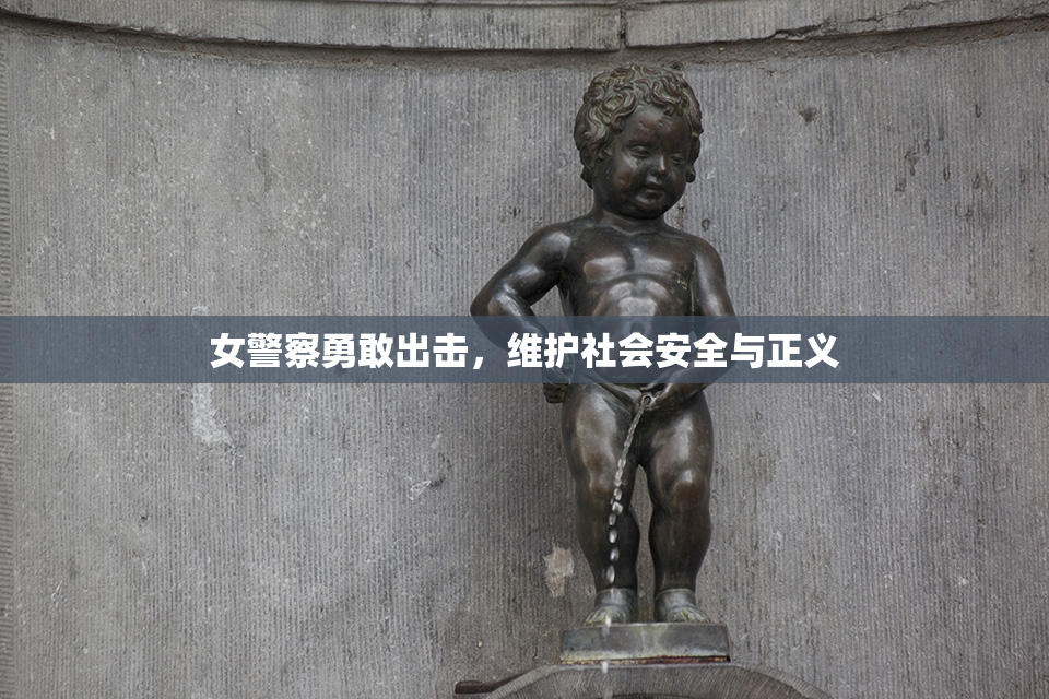 女警察勇敢出击，维护社会安全与正义
