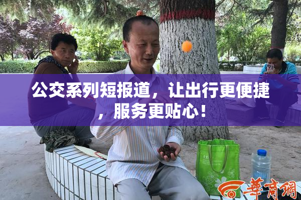 公交系列短报道，让出行更便捷，服务更贴心！