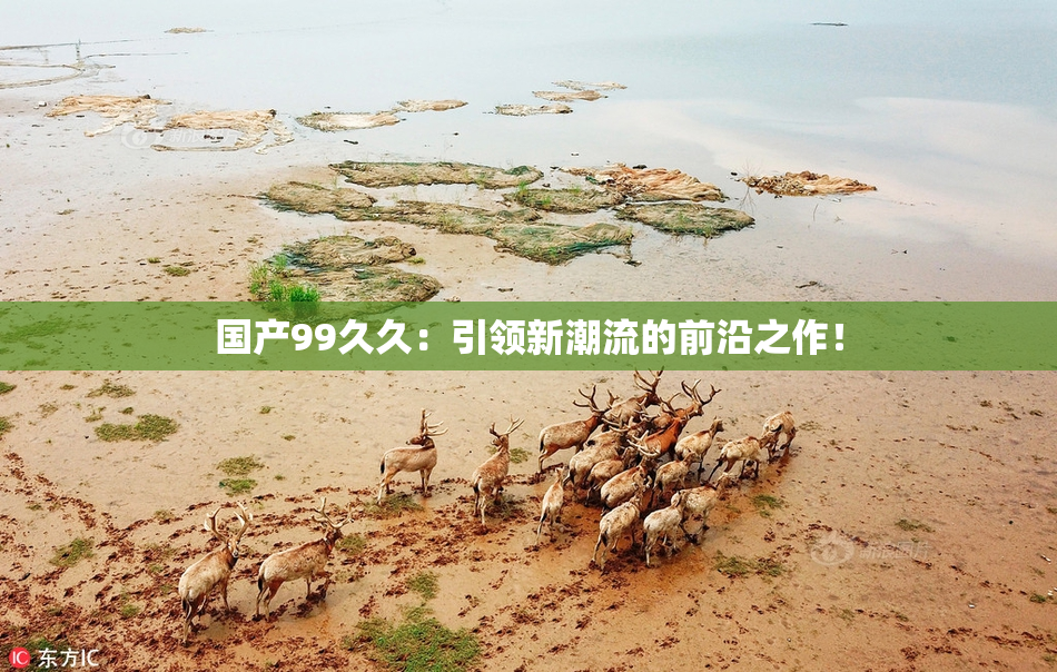 国产99久久：引领新潮流的前沿之作！