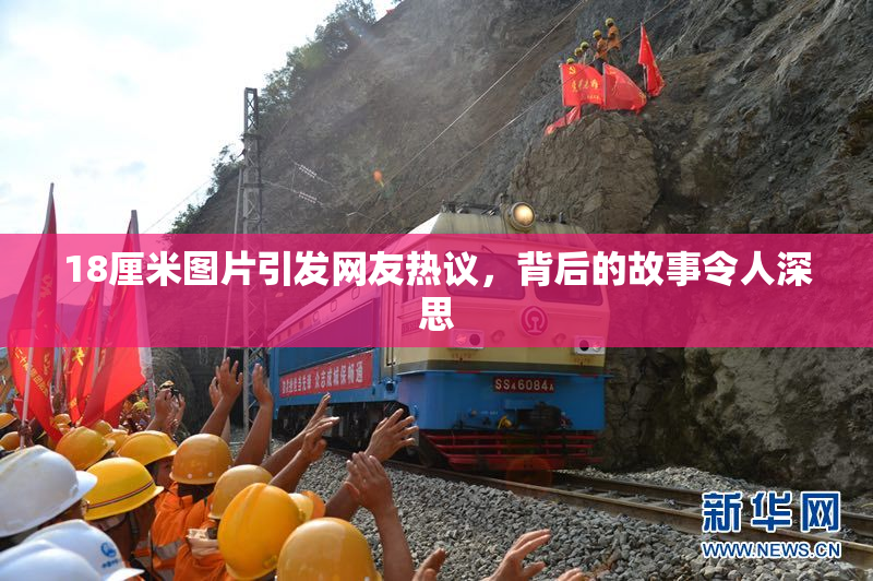 18厘米图片引发网友热议，背后的故事令人深思