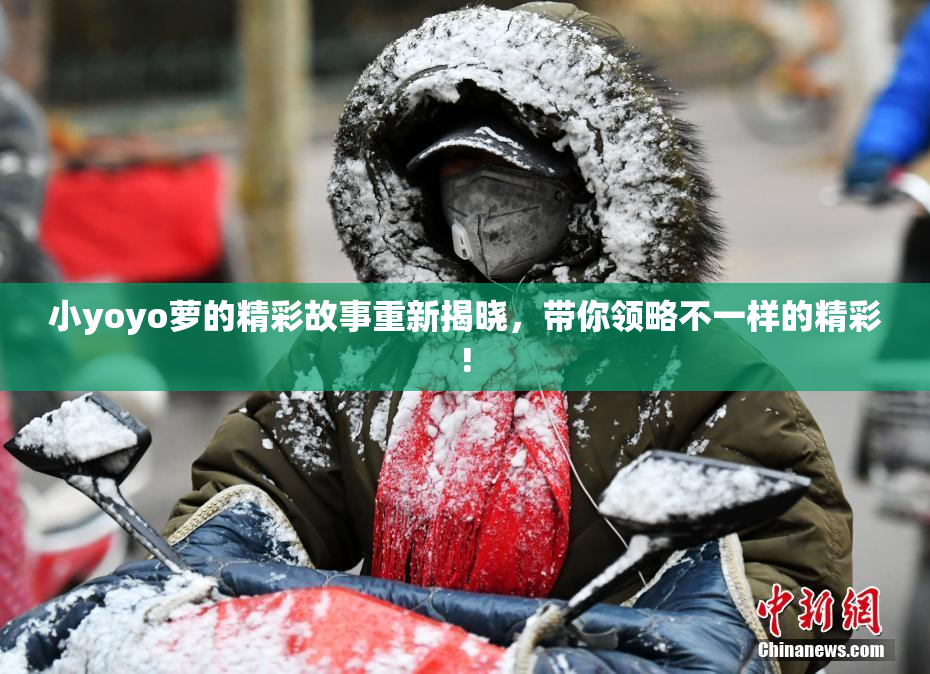 小yoyo萝的精彩故事重新揭晓，带你领略不一样的精彩!