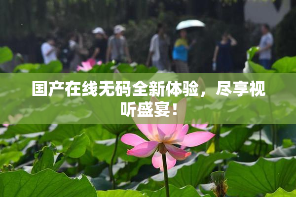 国产在线无码全新体验，尽享视听盛宴！