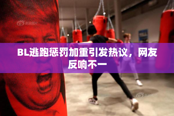 BL逃跑惩罚加重引发热议，网友反响不一