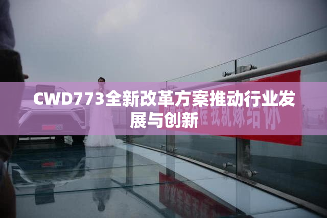 CWD773全新改革方案推动行业发展与创新