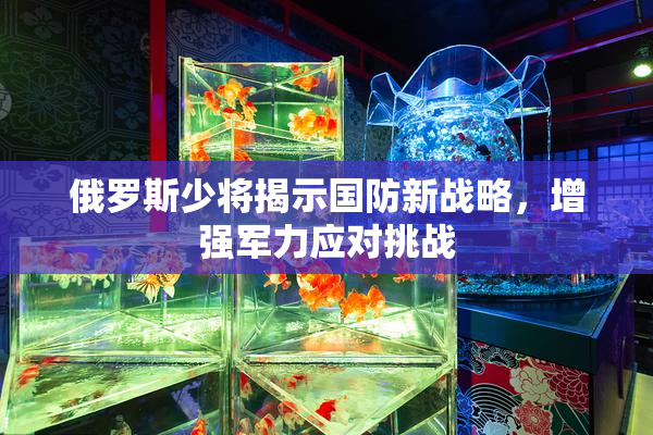 俄罗斯少将揭示国防新战略，增强军力应对挑战