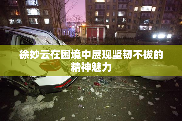 徐妙云在困境中展现坚韧不拔的精神魅力