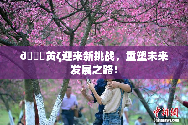🔞黄ζ迎来新挑战，重塑未来发展之路！