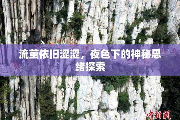 流萤依旧涩涩，夜色下的神秘思绪探索
