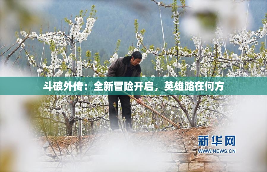 斗破外传：全新冒险开启，英雄路在何方