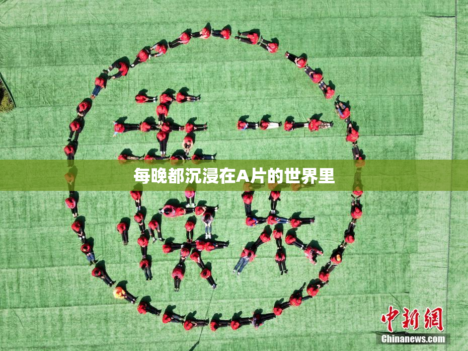 每晚都沉浸在A片的世界里