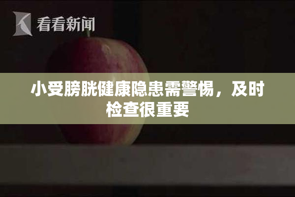 小受膀胱健康隐患需警惕，及时检查很重要