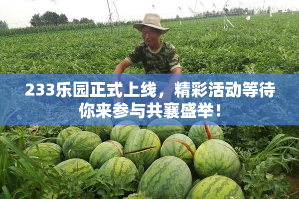 233乐园正式上线，精彩活动等待你来参与共襄盛举！