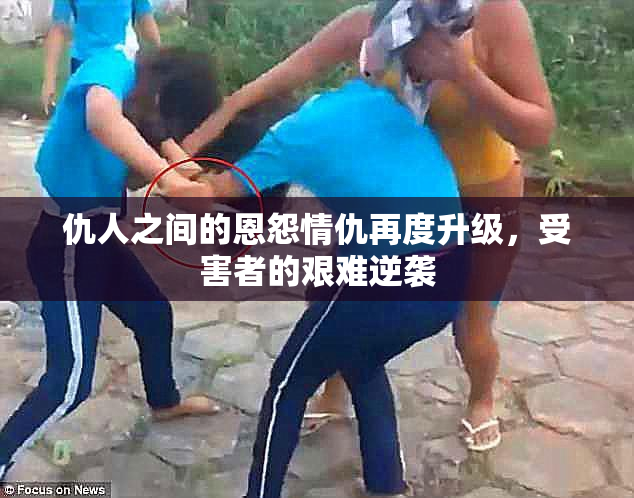 仇人之间的恩怨情仇再度升级，受害者的艰难逆袭