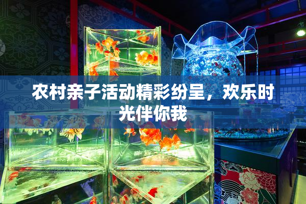 农村亲子活动精彩纷呈，欢乐时光伴你我