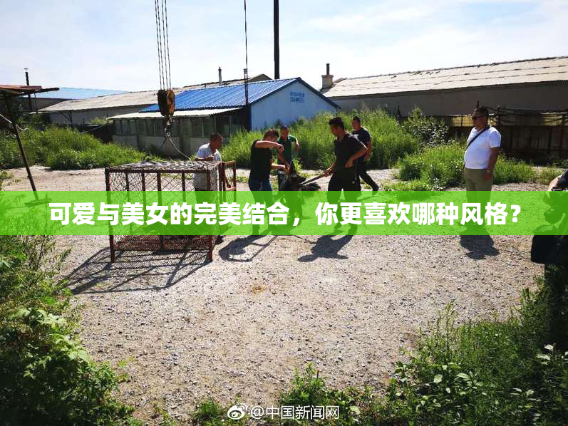 可爱与美女的完美结合，你更喜欢哪种风格？