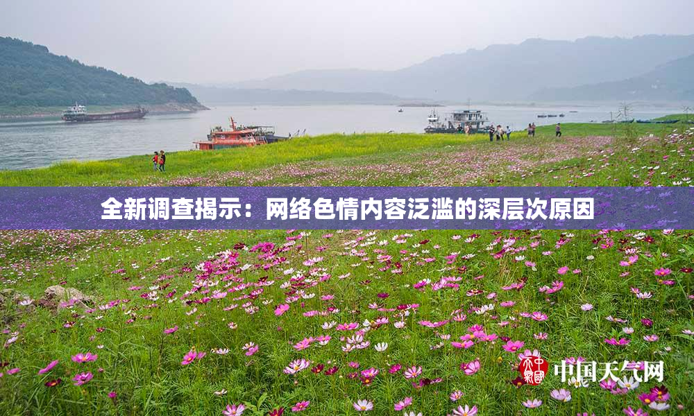 全新调查揭示：网络色情内容泛滥的深层次原因