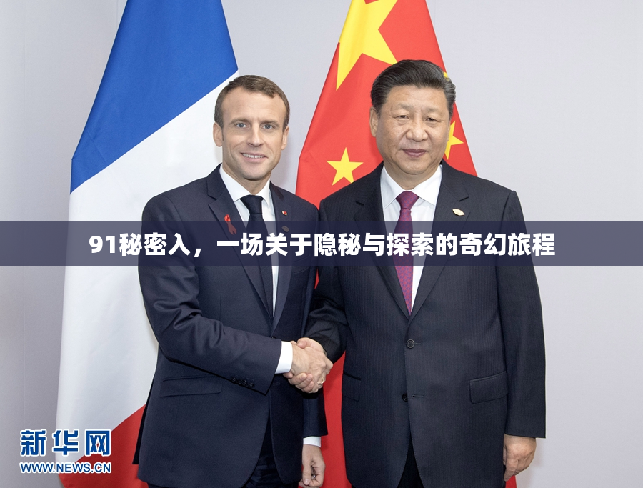 91秘密入，一场关于隐秘与探索的奇幻旅程