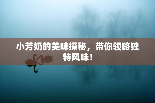 小芳奶的美味探秘，带你领略独特风味！
