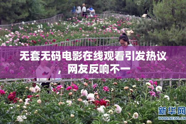 无套无码电影在线观看引发热议，网友反响不一