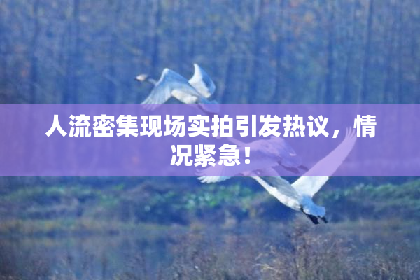 人流密集现场实拍引发热议，情况紧急！