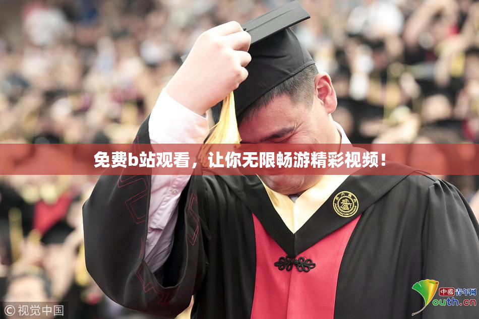 免费b站观看，让你无限畅游精彩视频！