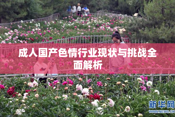 成人国产色情行业现状与挑战全面解析