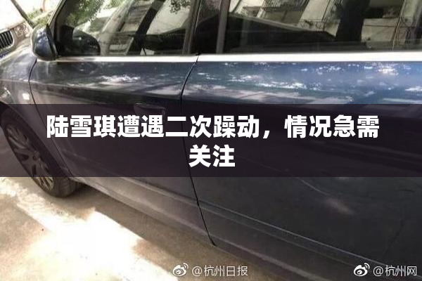 陆雪琪遭遇二次躁动，情况急需关注