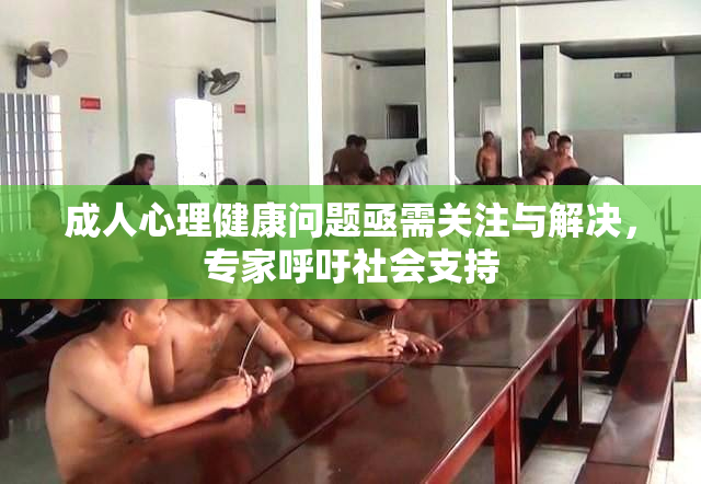 成人心理健康问题亟需关注与解决，专家呼吁社会支持