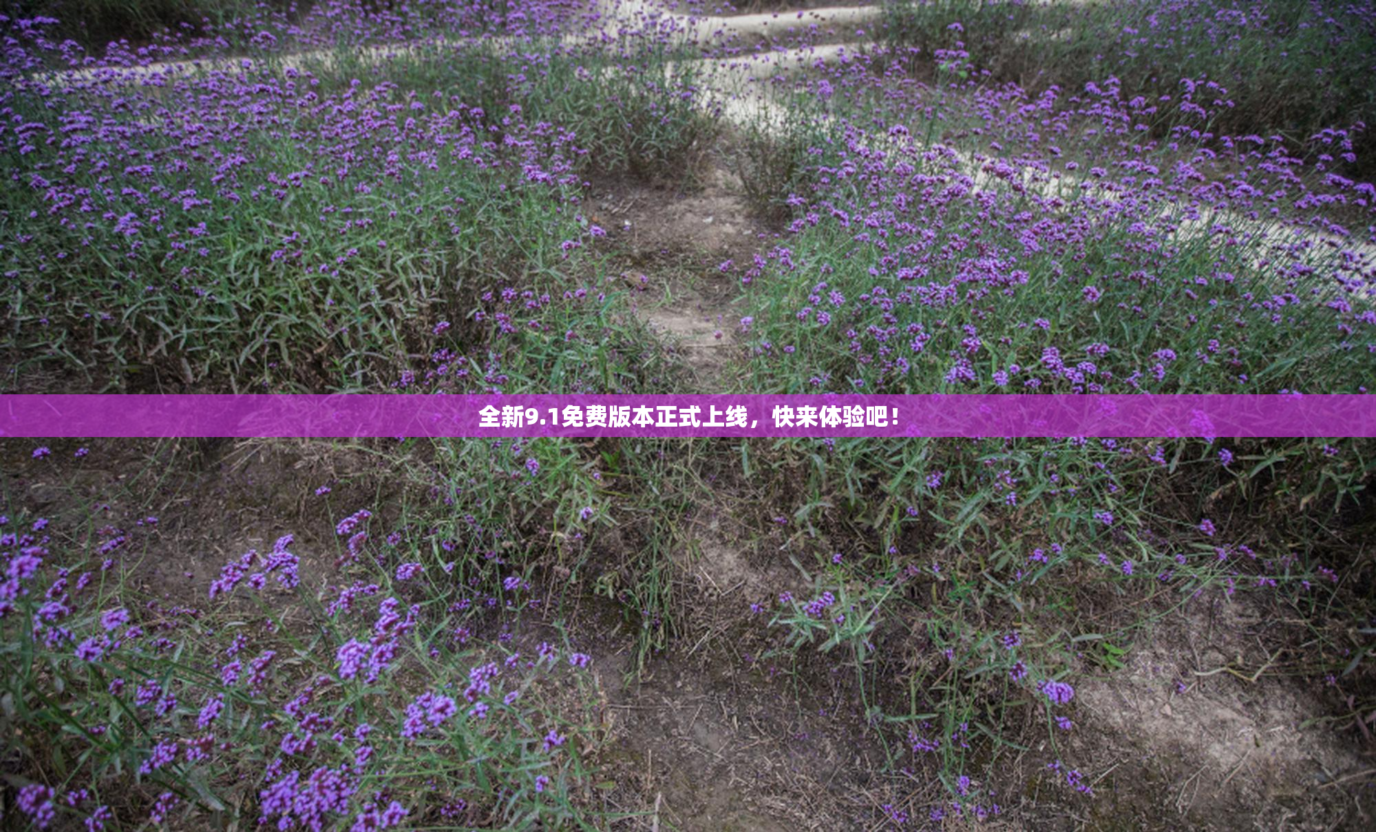 全新9.1免费版本正式上线，快来体验吧！