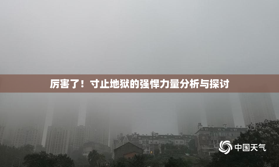 厉害了！寸止地狱的强悍力量分析与探讨