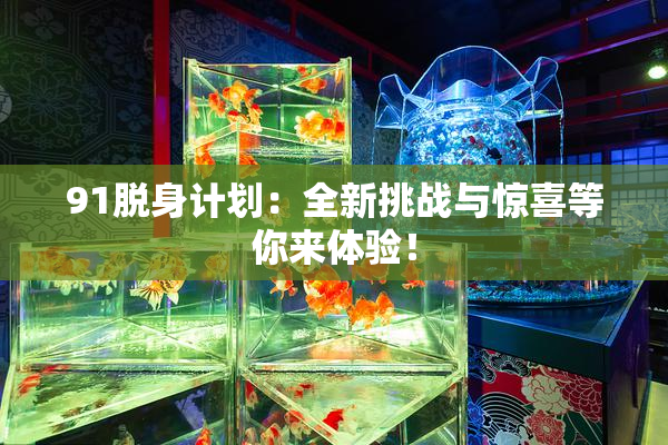 91脱身计划：全新挑战与惊喜等你来体验！
