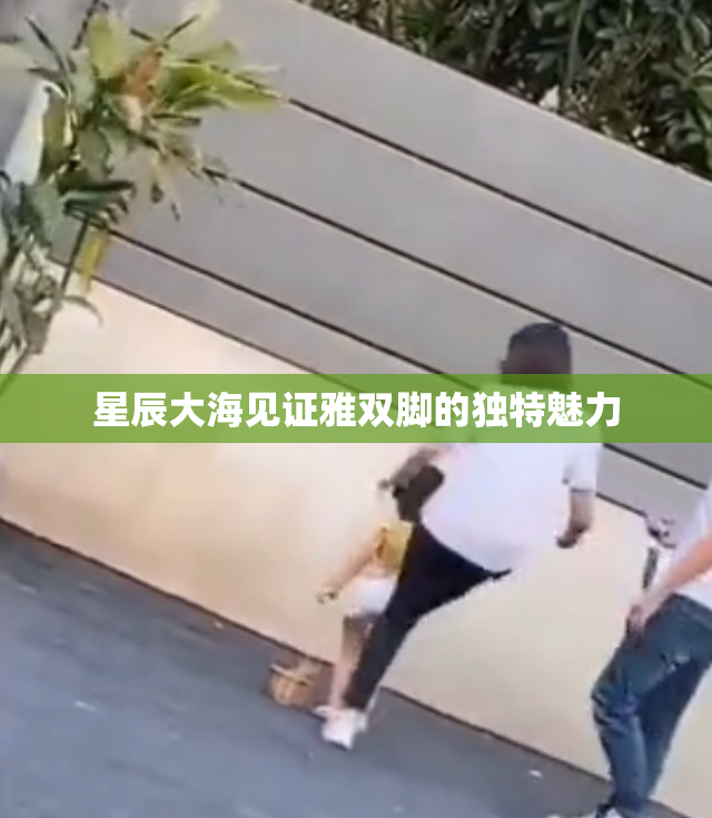 星辰大海见证雅双脚的独特魅力