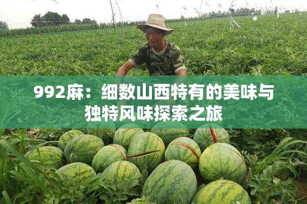 992麻：细数山西特有的美味与独特风味探索之旅