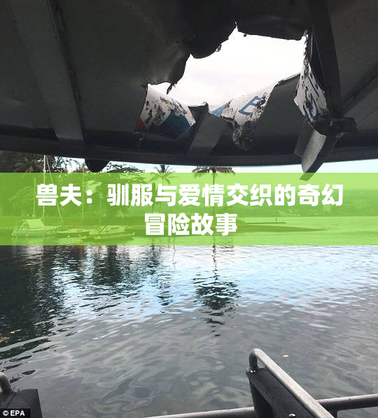 兽夫：驯服与爱情交织的奇幻冒险故事