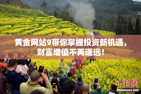 黄金网站9带你掌握投资新机遇，财富增值不再遥远！
