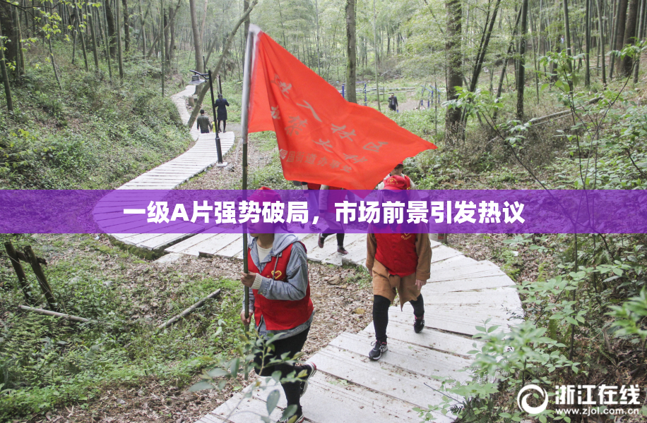 一级A片强势破局，市场前景引发热议