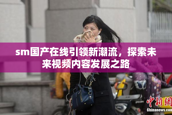 sm国产在线引领新潮流，探索未来视频内容发展之路