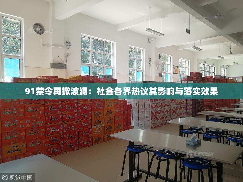 91禁令再掀波澜：社会各界热议其影响与落实效果