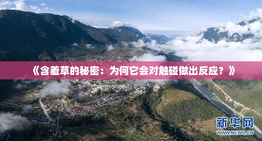 《含羞草的秘密：为何它会对触碰做出反应？》