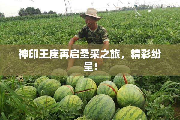 神印王座再启圣采之旅，精彩纷呈！