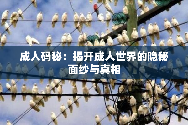 成人码秘：揭开成人世界的隐秘面纱与真相