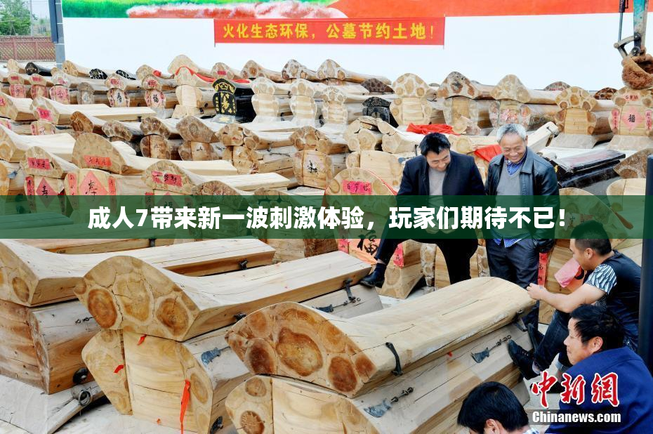 成人7带来新一波刺激体验，玩家们期待不已！