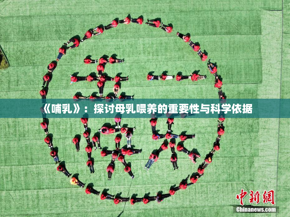 《哺乳》：探讨母乳喂养的重要性与科学依据
