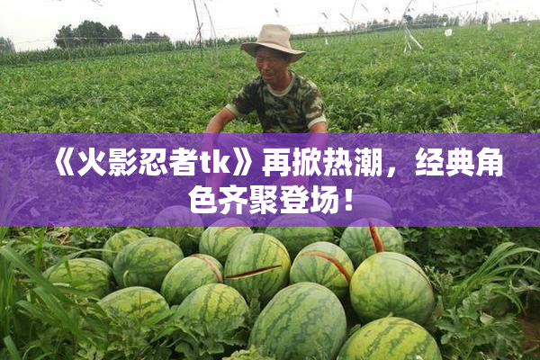 《火影忍者tk》再掀热潮，经典角色齐聚登场！