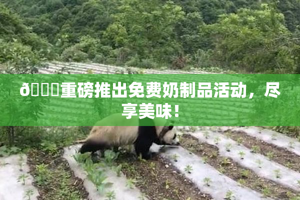 🔞重磅推出免费奶制品活动，尽享美味！