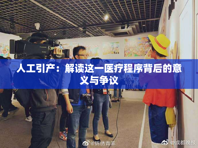 人工引产：解读这一医疗程序背后的意义与争议