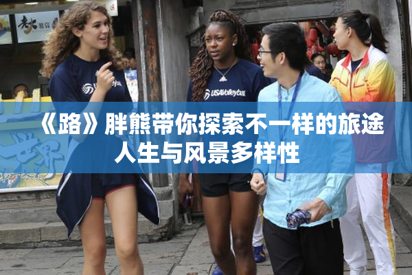 《路》胖熊带你探索不一样的旅途人生与风景多样性