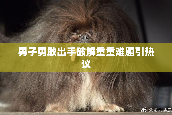 男子勇敢出手破解重重难题引热议